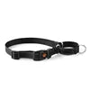 Pet Supplies Adjustable P Training Anti-riot Dog Outdoor Walking  Nylon Collar Accessories
