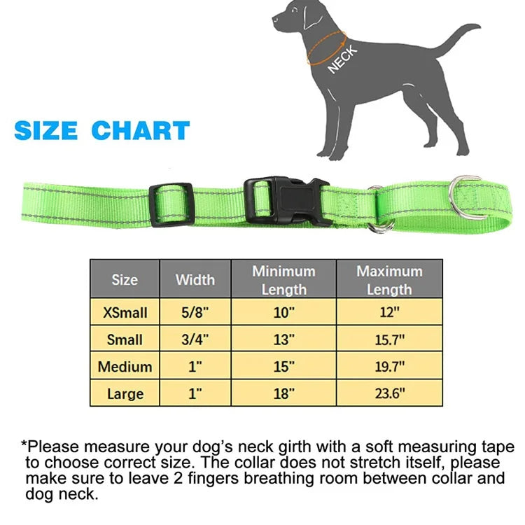 Pet Supplies Adjustable P Training Anti-riot Dog Outdoor Walking  Nylon Collar Accessories