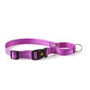 Pet Supplies Adjustable P Training Anti-riot Dog Outdoor Walking  Nylon Collar Accessories
